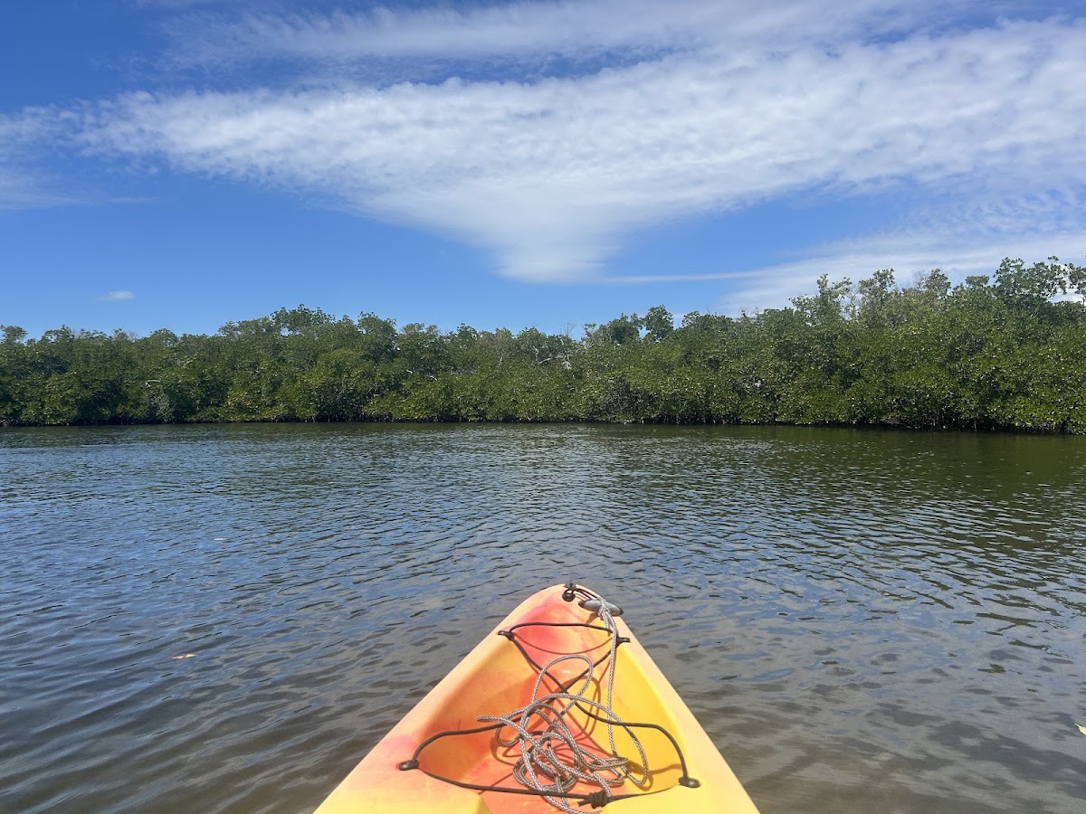Gulf Coast Kayak - Photo 2