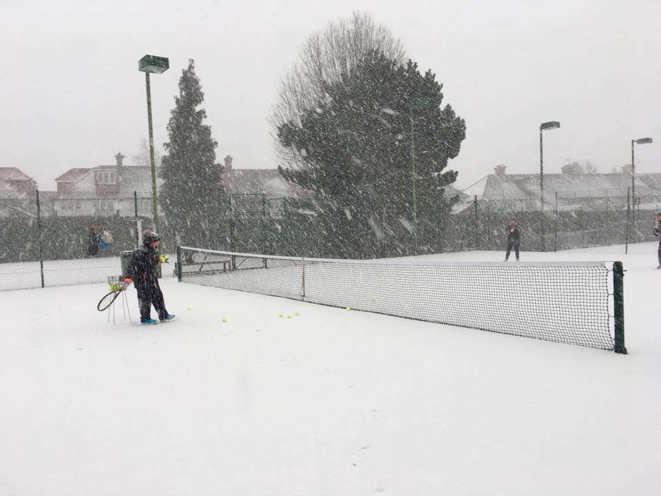 Gunnersbury Triangle Club - Photo 3