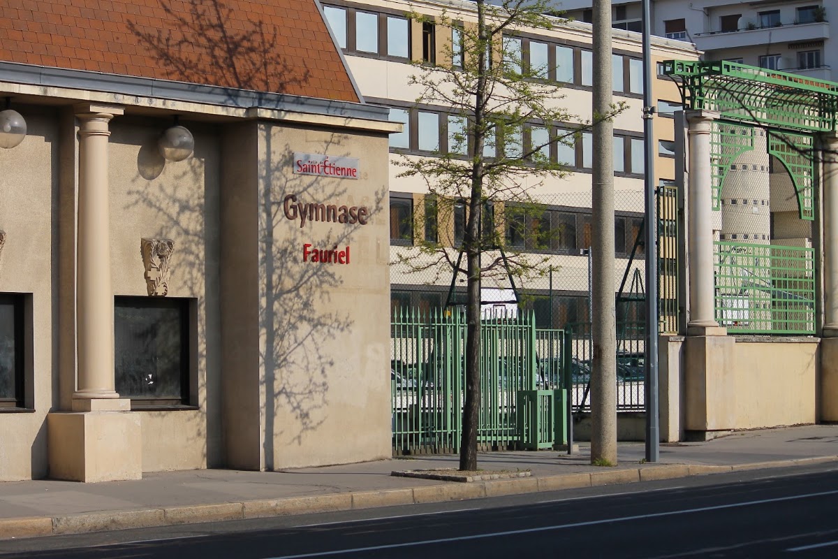 Gymnase Claude Fauriel - Photo 3