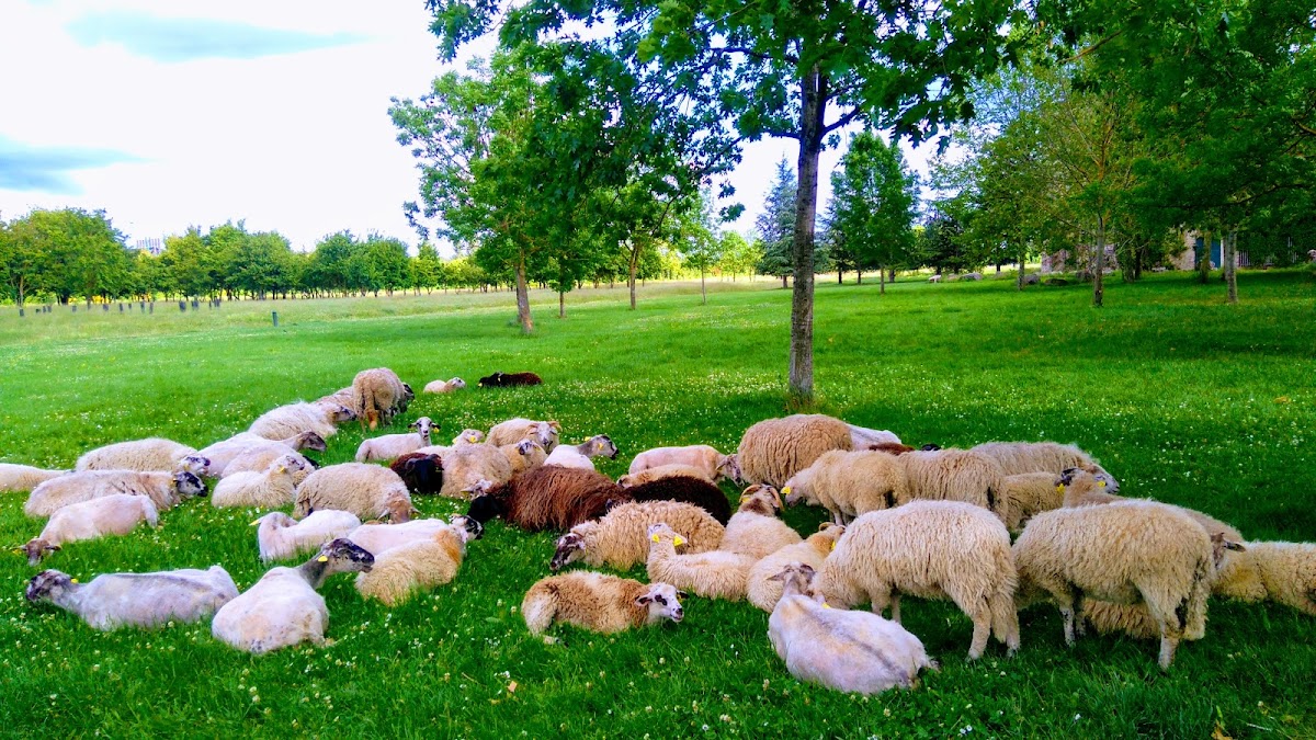 Gymnase des Argoulets - Photo 2