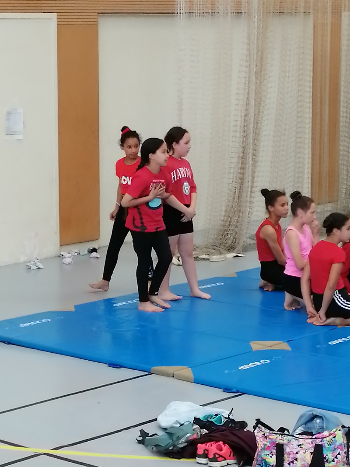 Gymnase Nelson Paillou - Photo 3