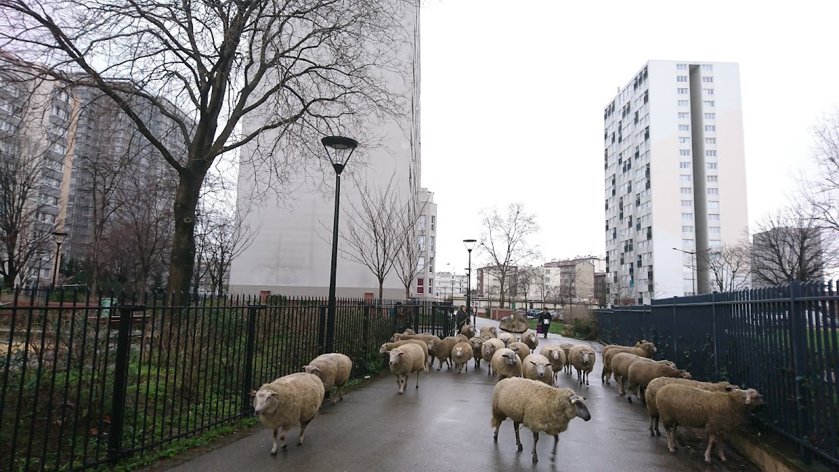 Gymnase Robespierre - Photo 2