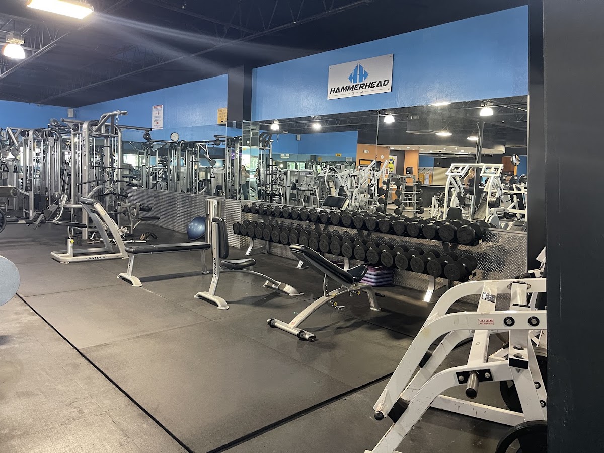 Hammerhead Gym (Cape Coral) - Photo 2