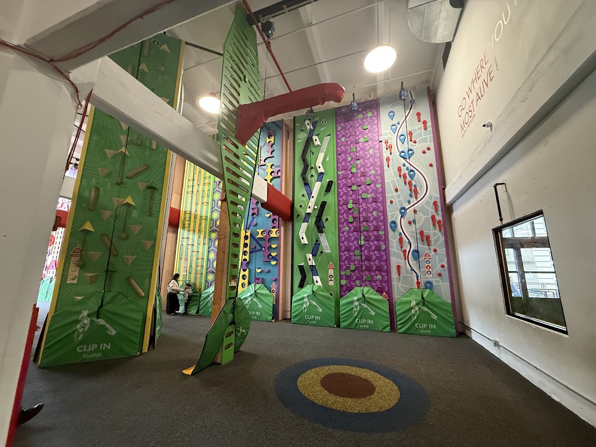 HAPIK Climbing Gym – Brooklyn - Photo 2