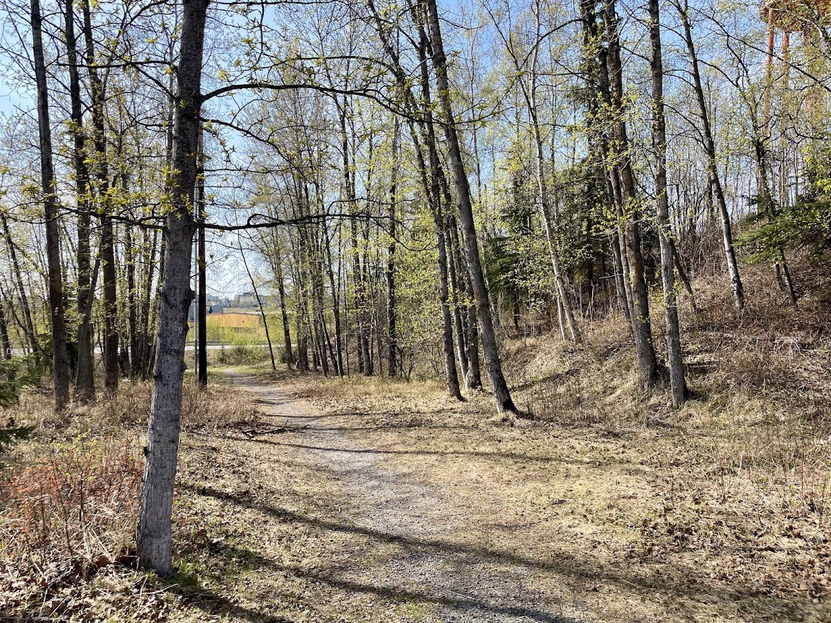 Harvard Park - Photo 2