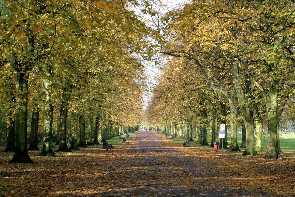 Haslam Park - Photo 1