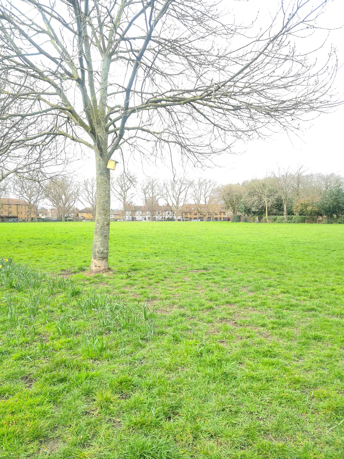 Hermit Rd 5-a-side Football Pitch - Photo 2