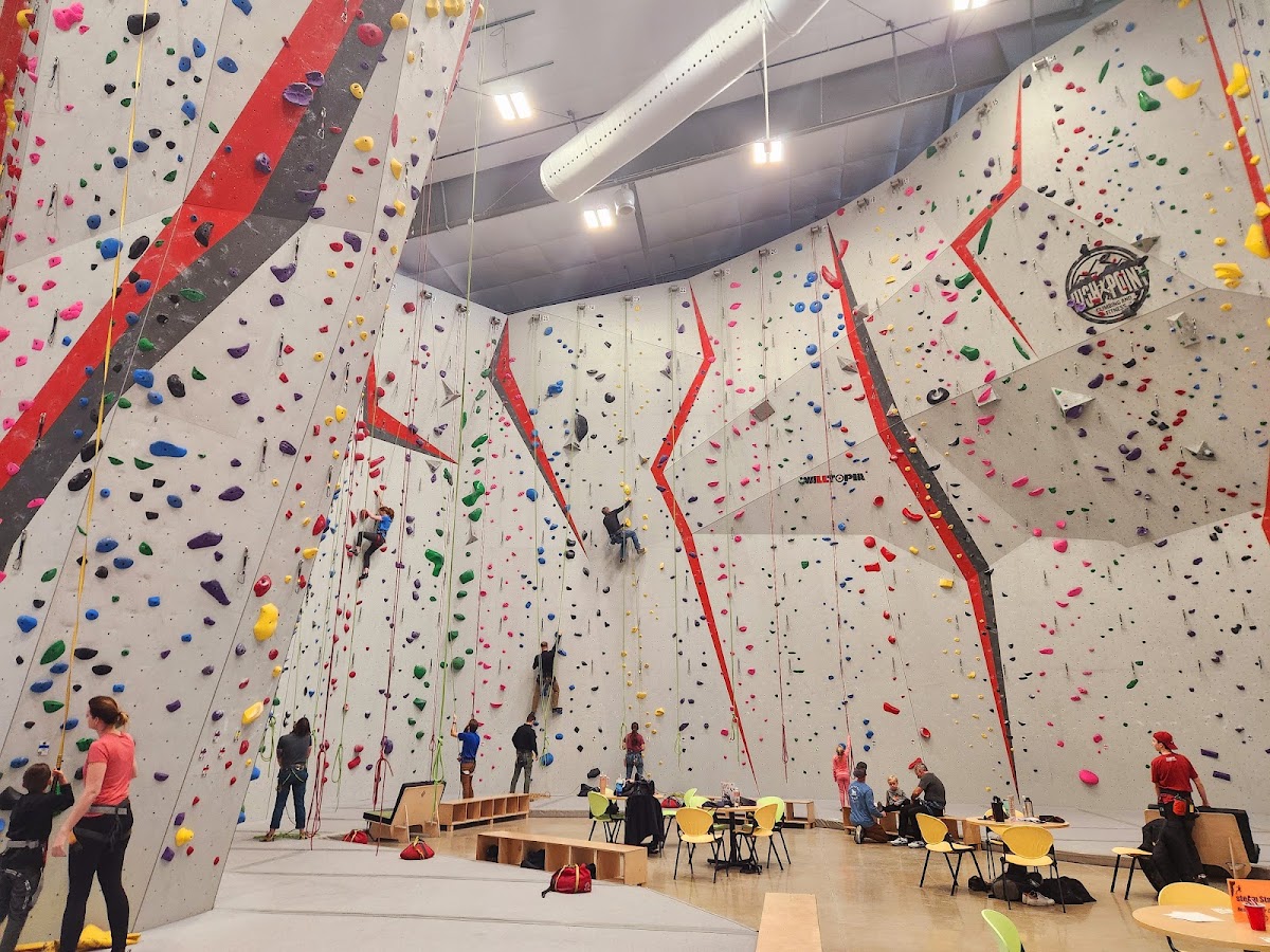 High Point Climbing and Fitness - Mid City - Photo 2