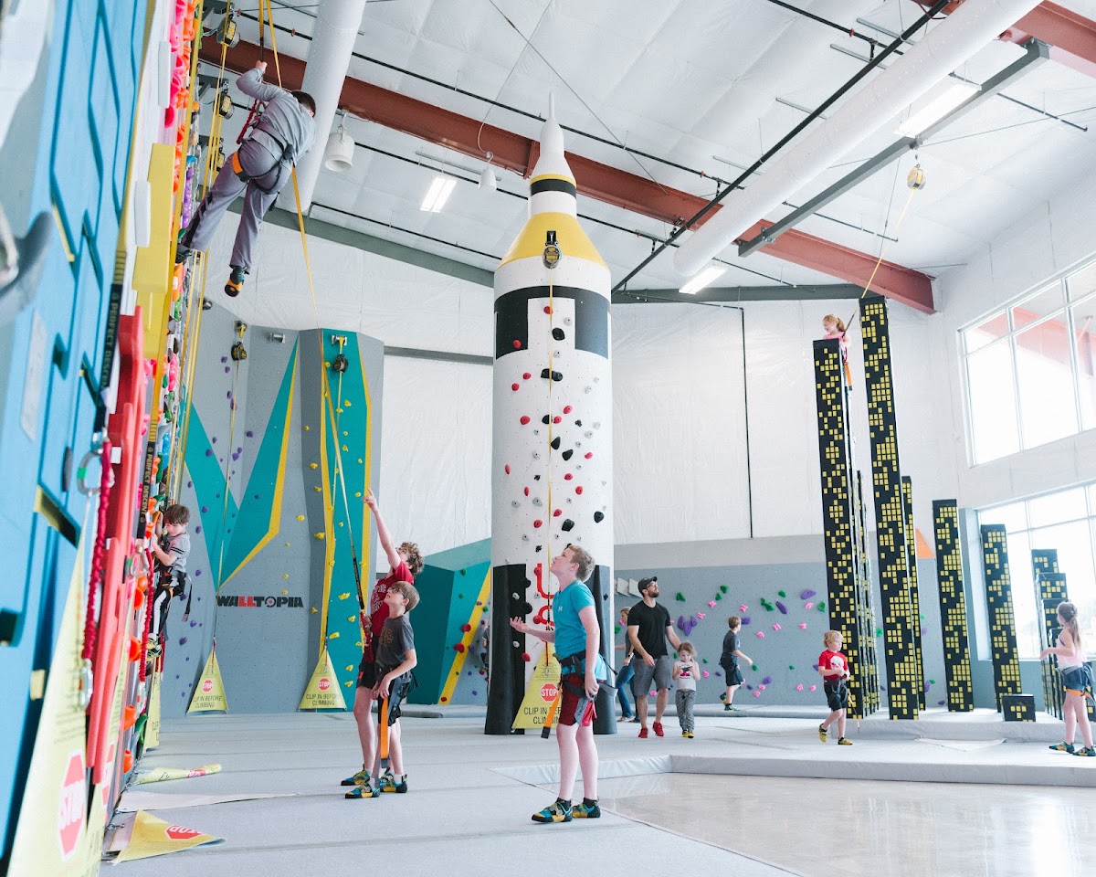 High Point Climbing and Fitness - Mid City - Photo 3
