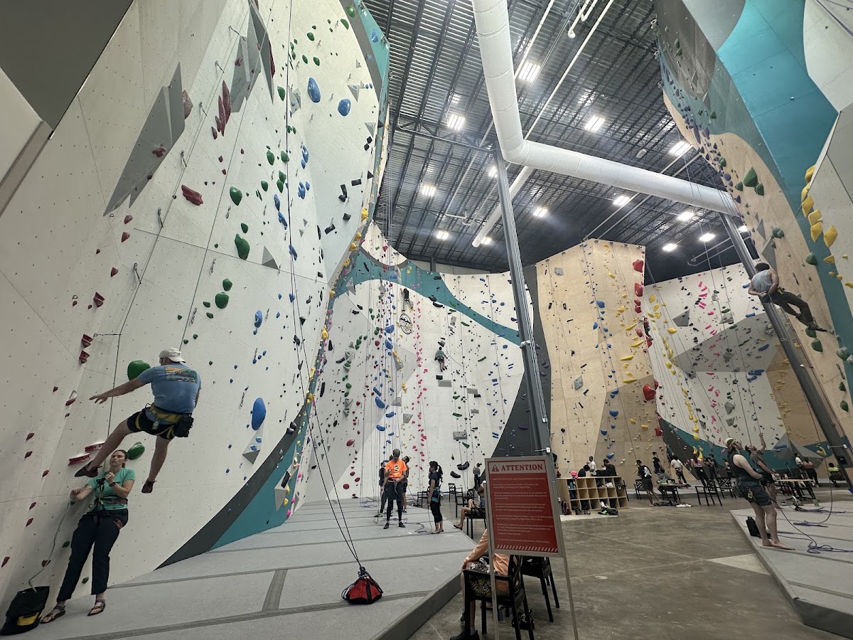 High Point Climbing And Fitness - Orlando - Photo 2
