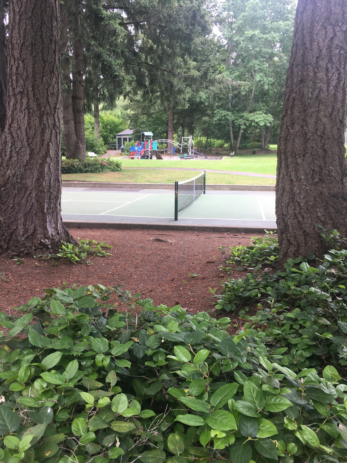 Hillaire Park Pickleball Court - Photo 2