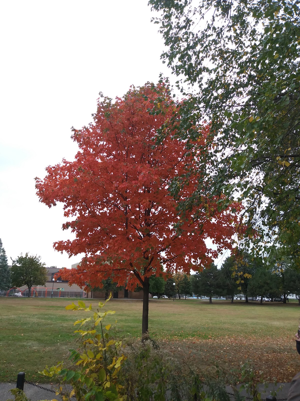 Holmes Park Tennis Court - Photo 2