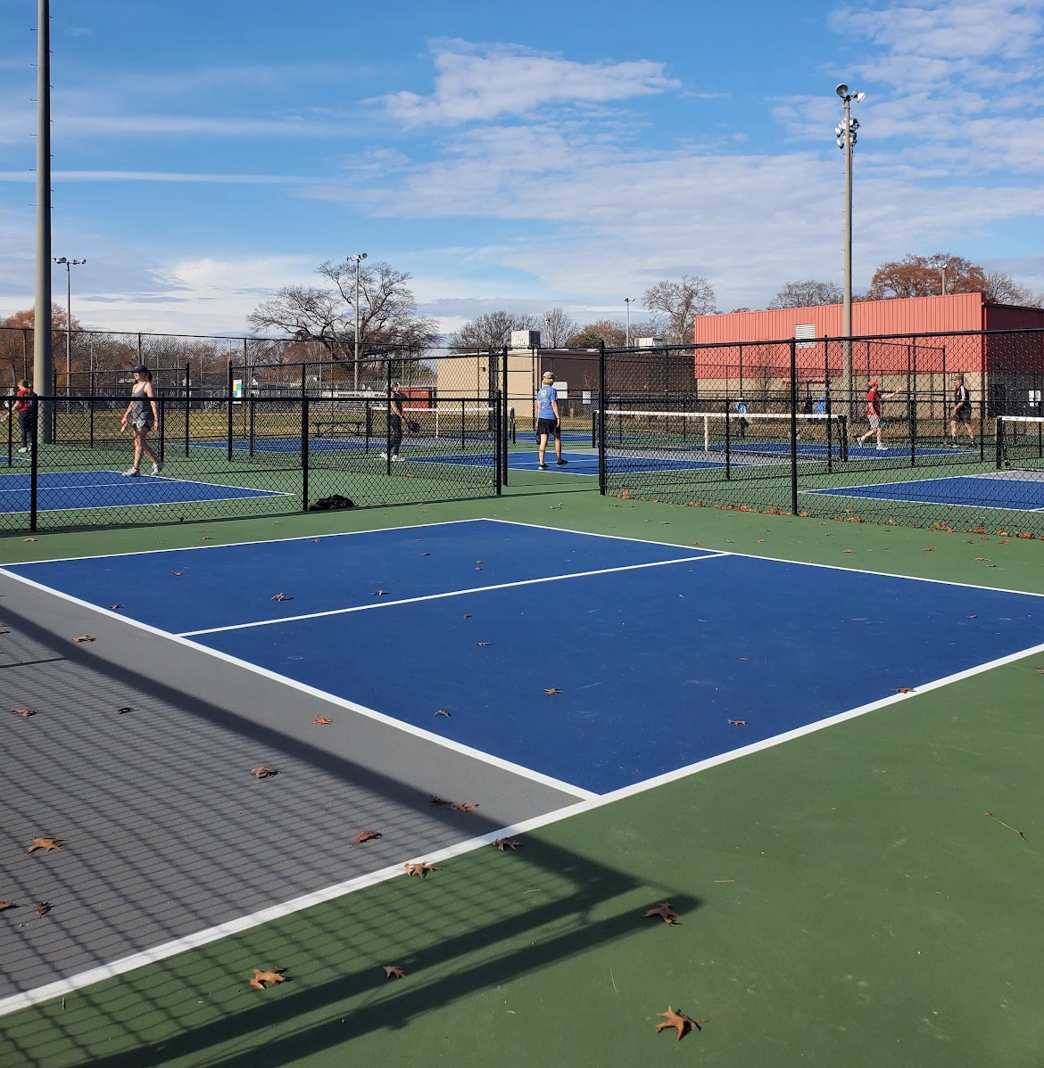 Hotchkiss Park Pickleball Courts - Photo 1