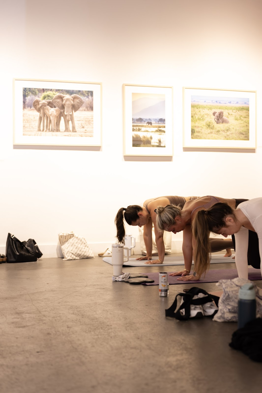 House of Pilates - Photo 2