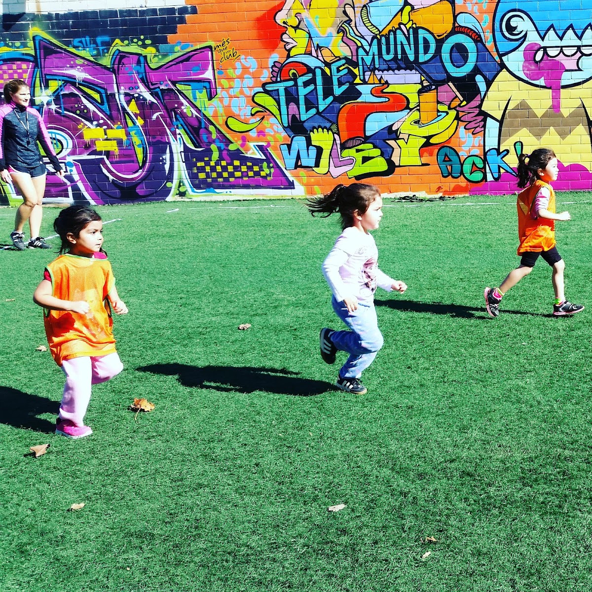 Houston Indoor Soccer Academy - Photo 3