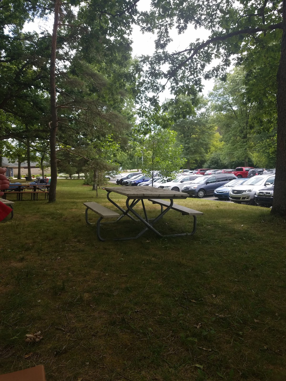 Huron Valley Swim Club - Photo 2