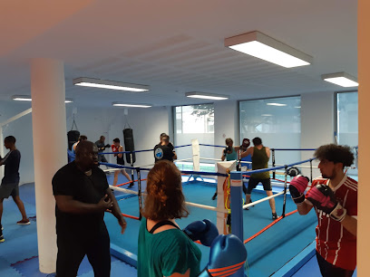 IMPACTS 33 - Boxe - Gymnase Robert Geneste - Photo principale