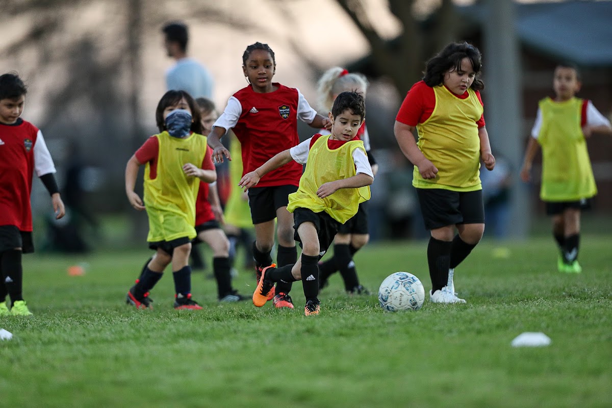 Imperial Soccer Club - Photo 3