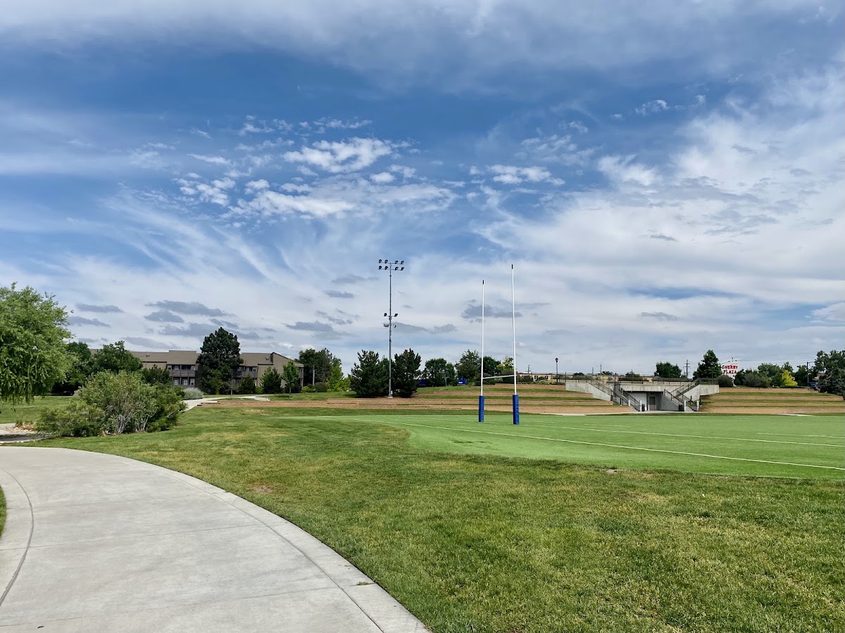 Infinity Park Turf Field - Photo 3