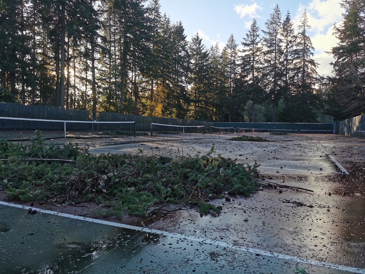 Interlake High School Tennis Courts - Photo 3