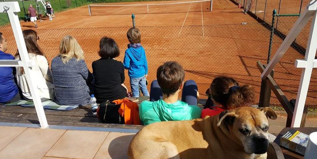 Internationaler Tennisclub Bonn-Bad Godesberg e. V. - Photo 3