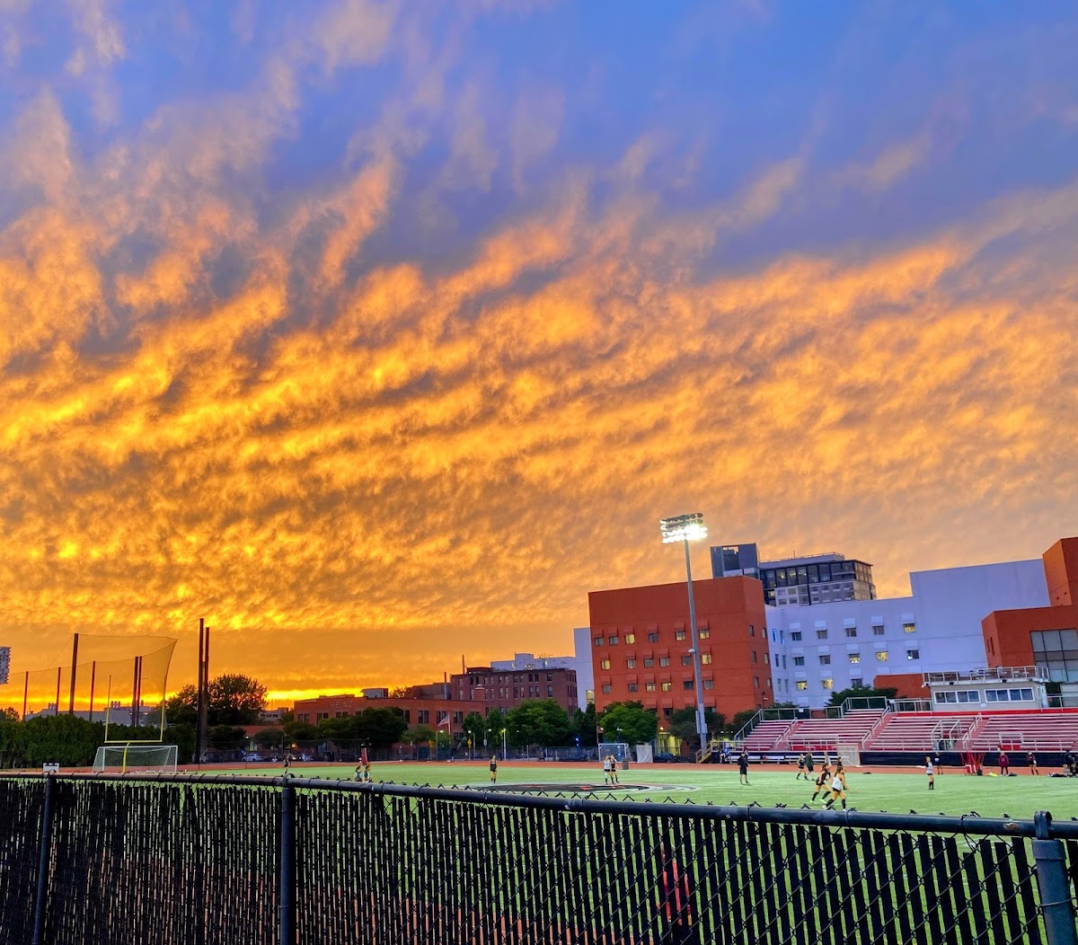 Jack Barry Field - Photo 3