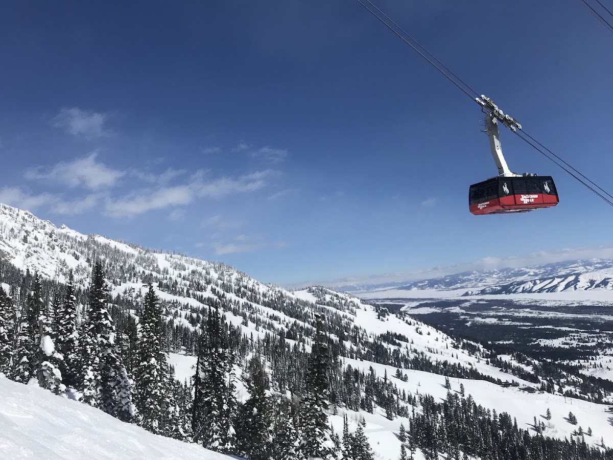 Jackson Hole Mountain Resort - Photo 1