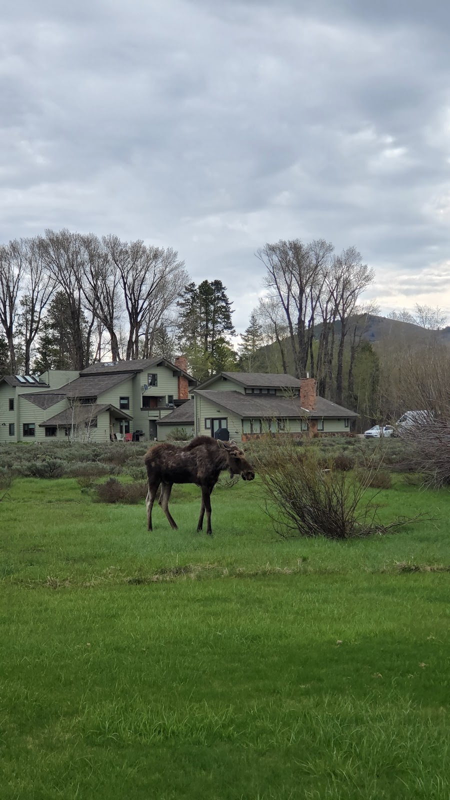 Jackson Hole Racquet Club - Photo 3