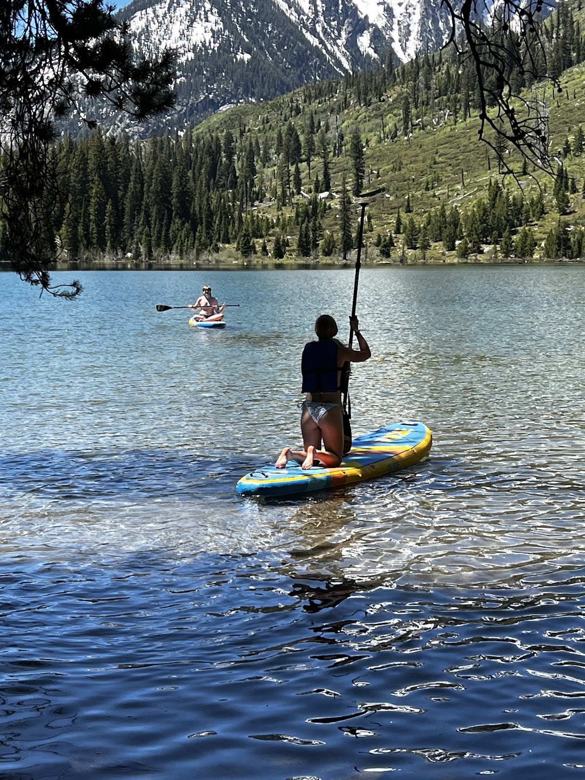 Jackson Paddle Board Rentals - Photo 2