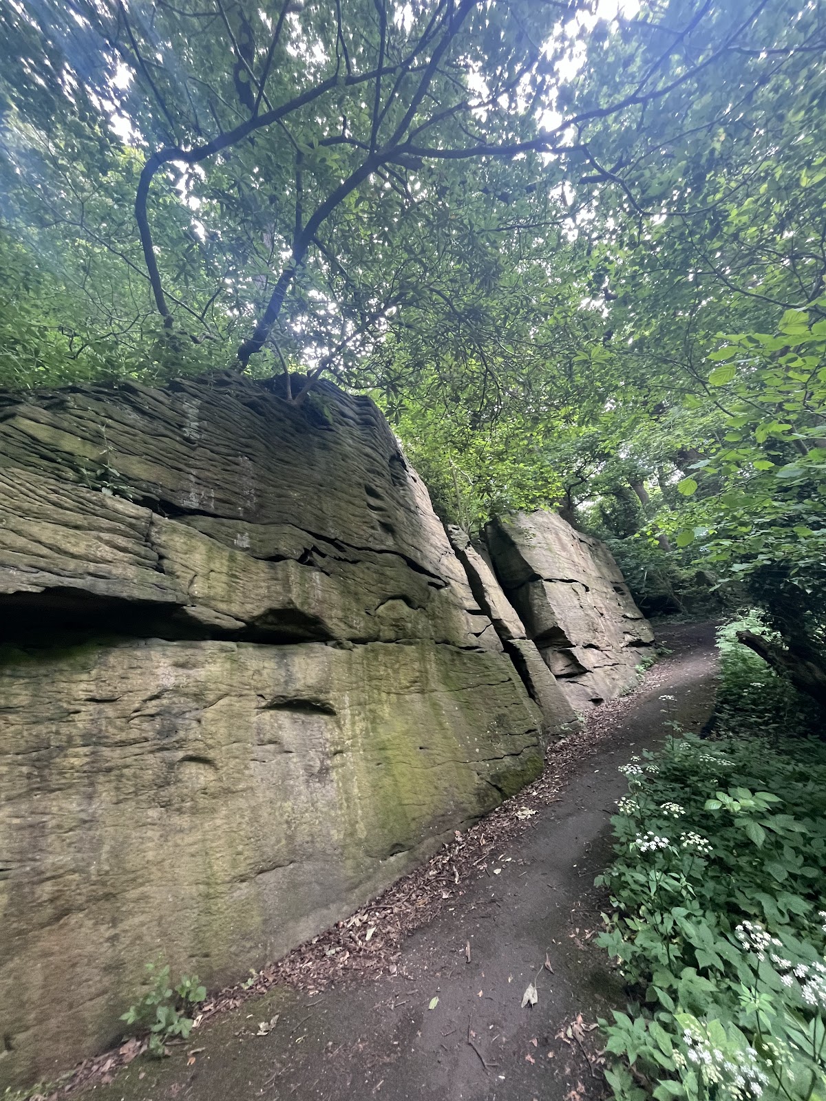 Jesmond Dene Real Tennis Club - Photo 3