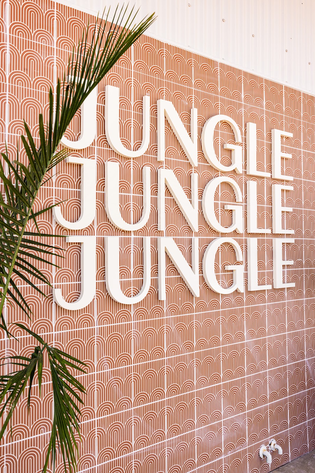 Jungle Studio Fitness - Fort Worth - Photo 1