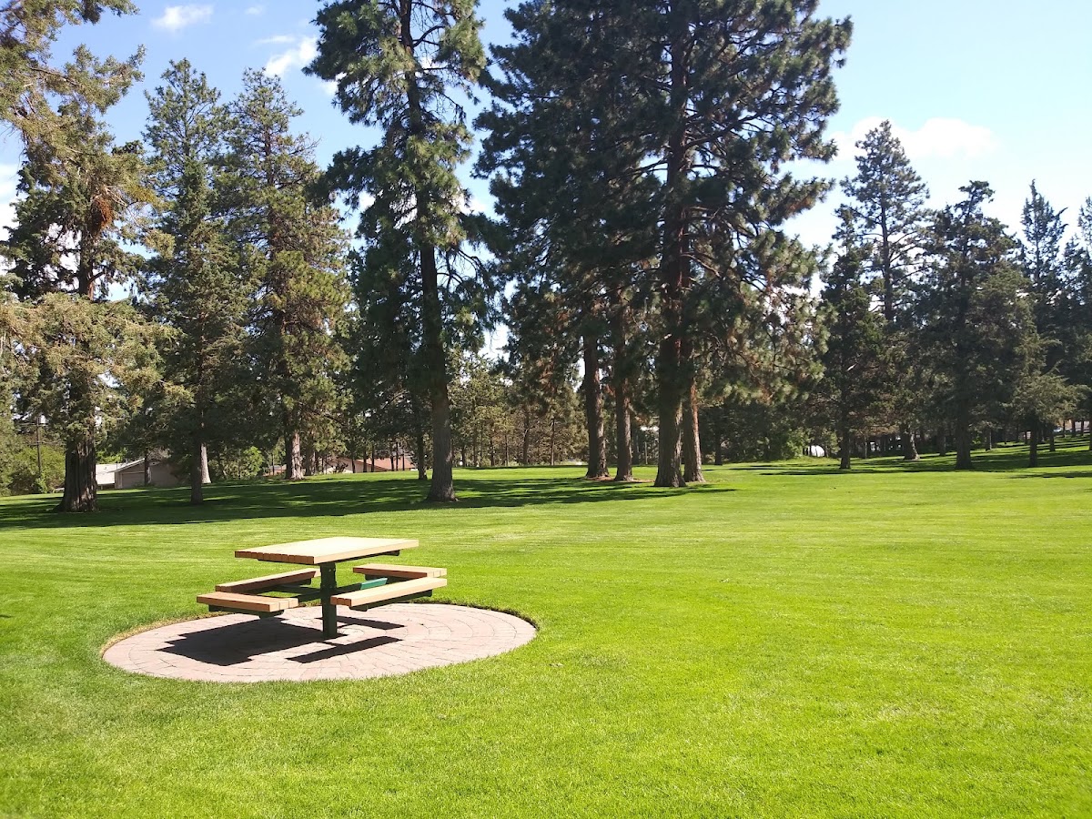 Juniper Park - Photo 3