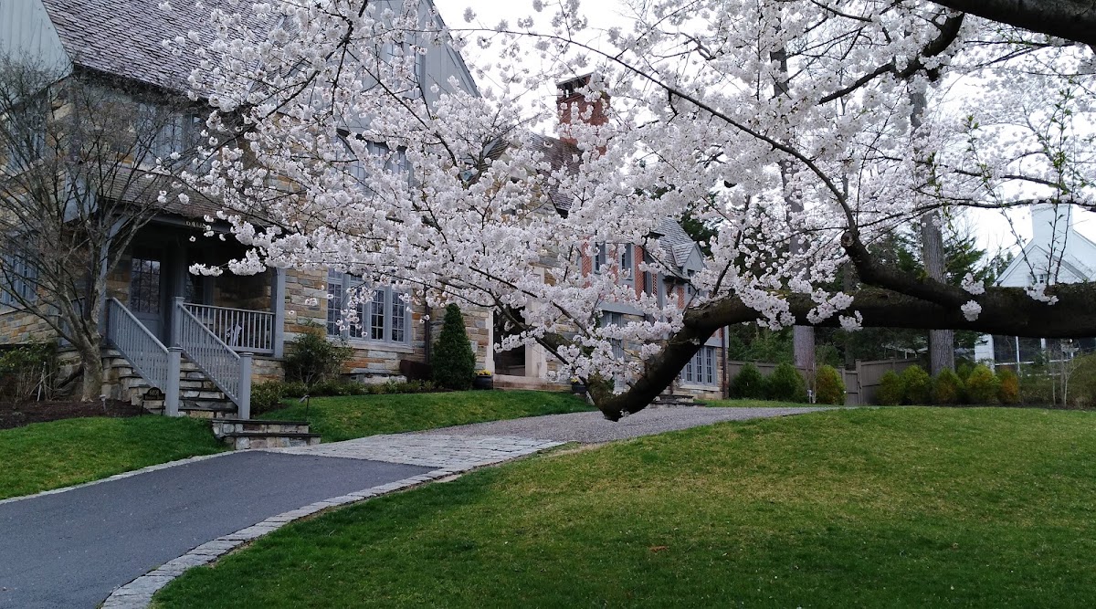 Kenwood Golf and Country Club - Photo 3