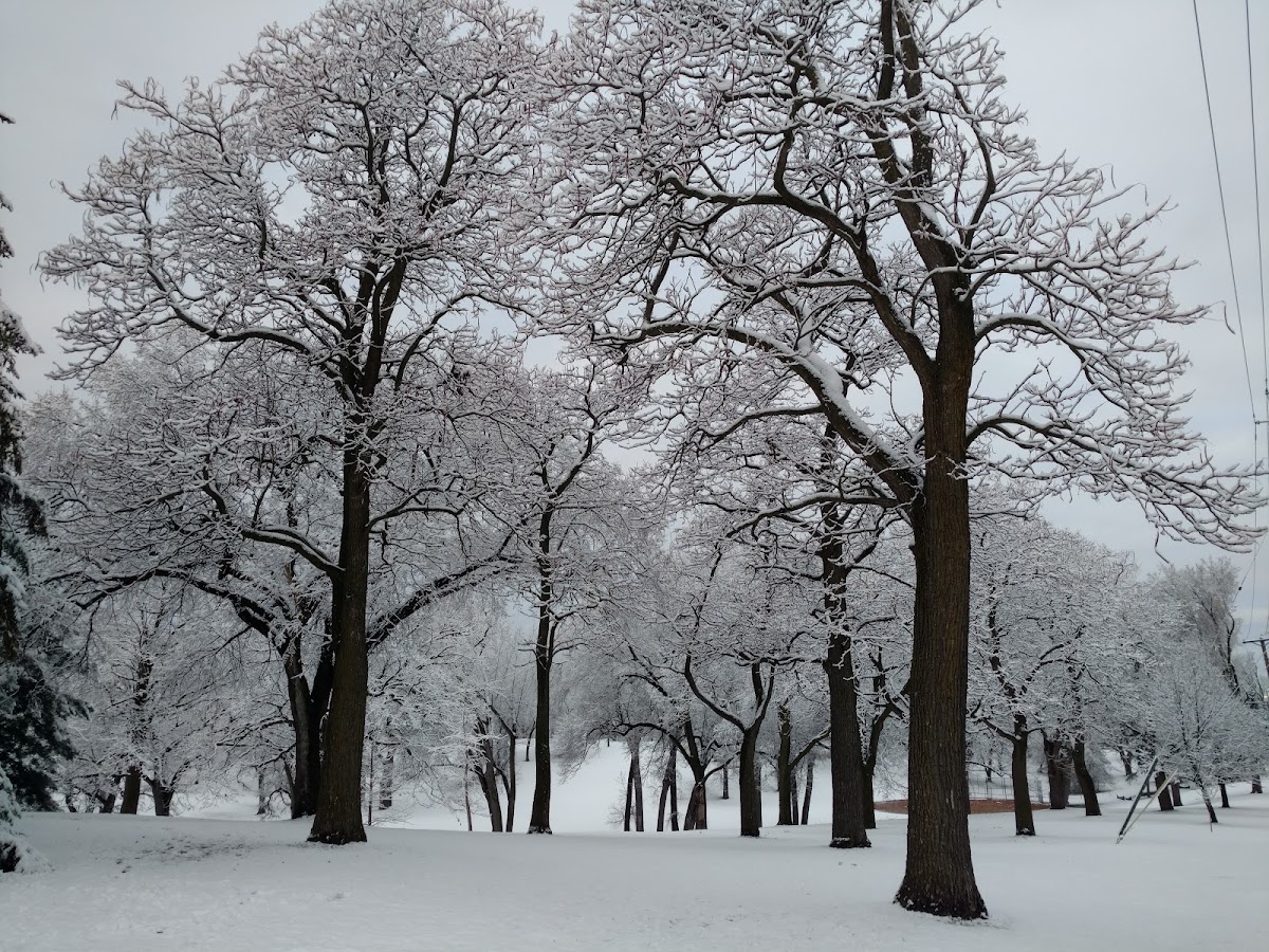 Kenwood Park - Photo 3
