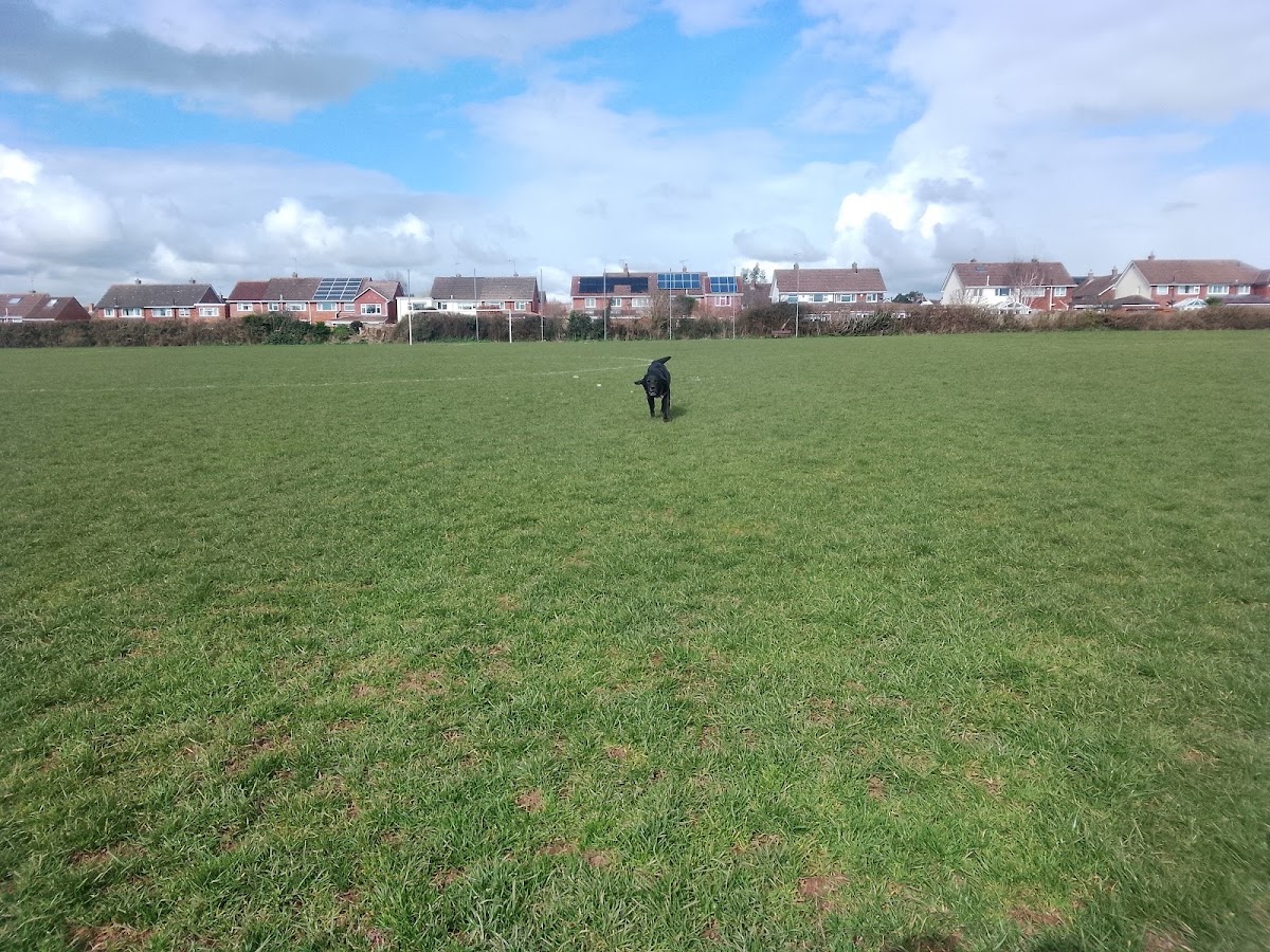 King George V Playing Fields - Photo 3