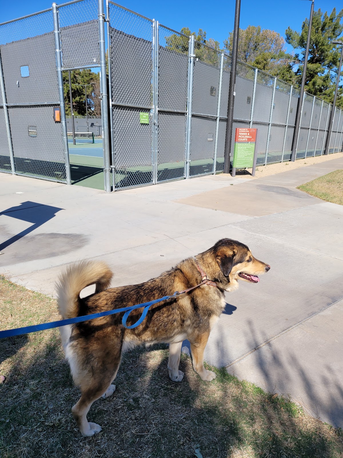 Kleinman Park Tennis & Pickleball Courts - Photo 2