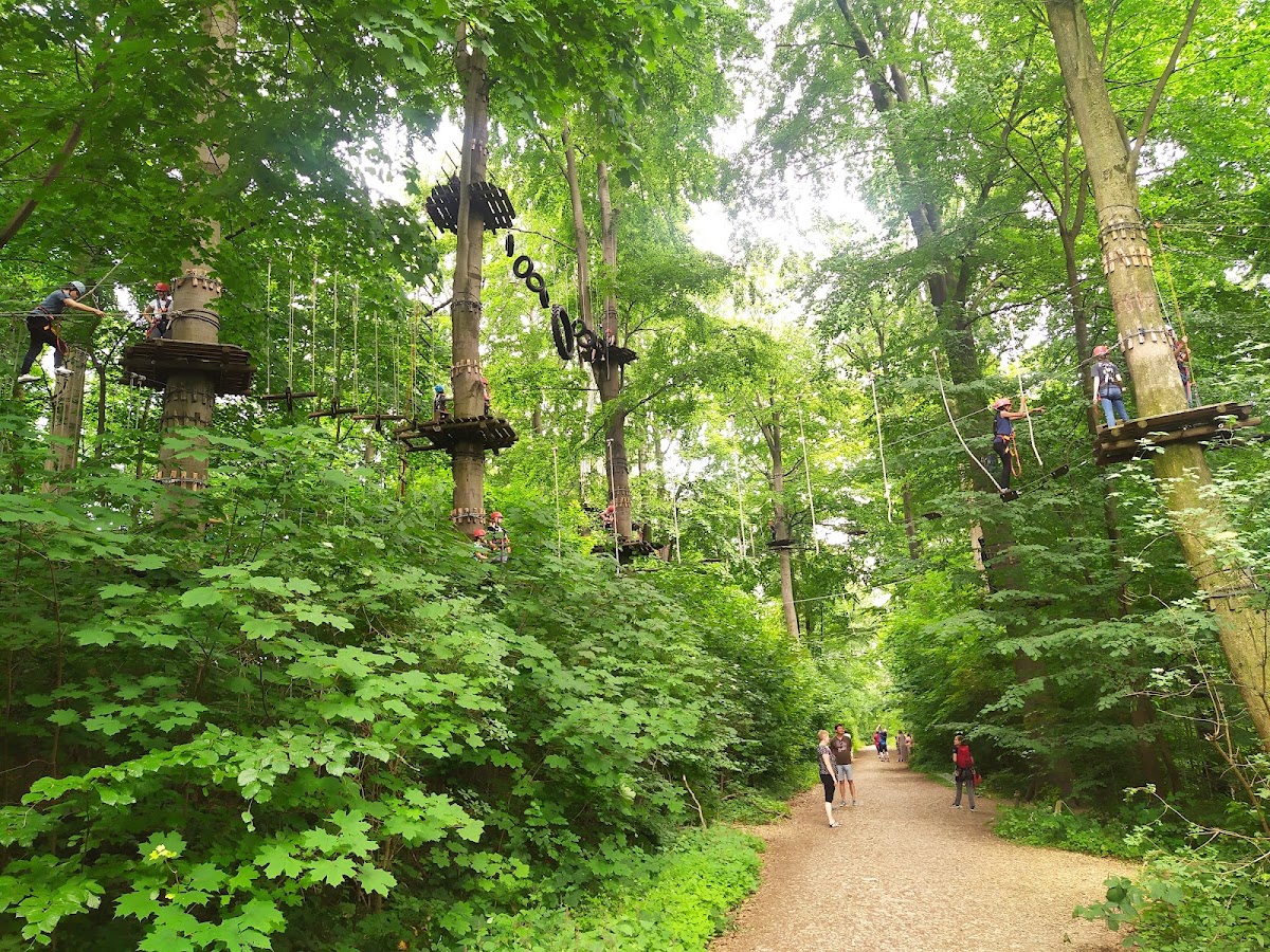 Kletterpark Bielefeld am Johannisberg - Photo 3