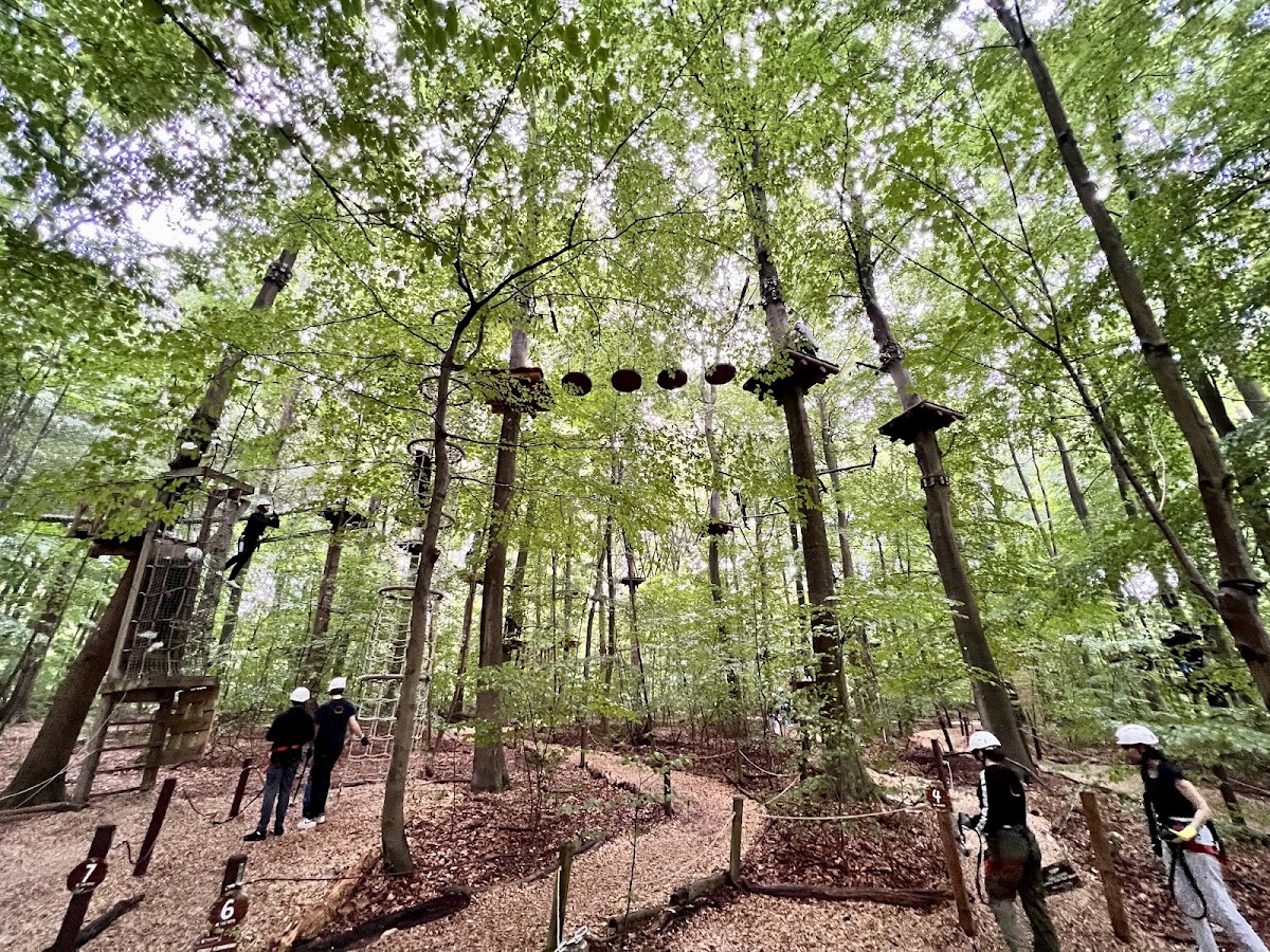 Kletterwald Hamburg - Photo 2