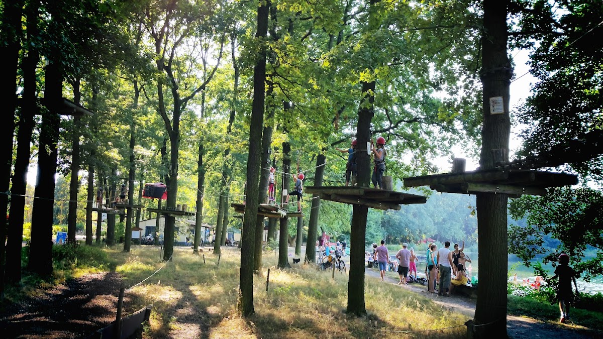 Kletterwald Leipzig