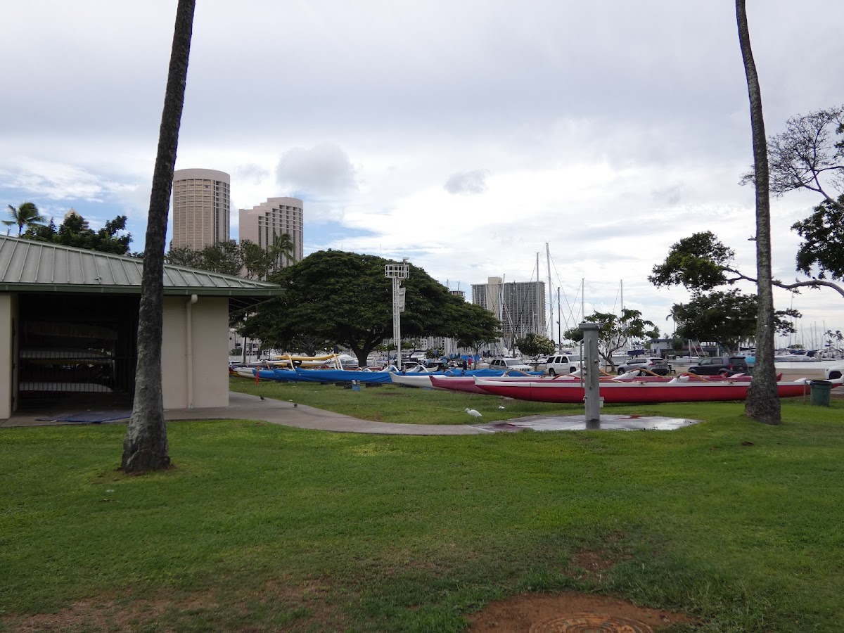 Koa Kai Canoe Club