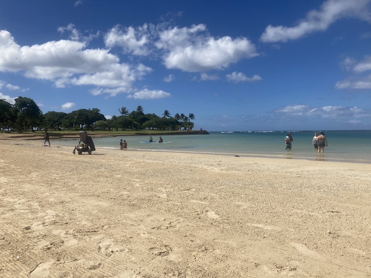 Koa Kai Canoe Club - Photo 3