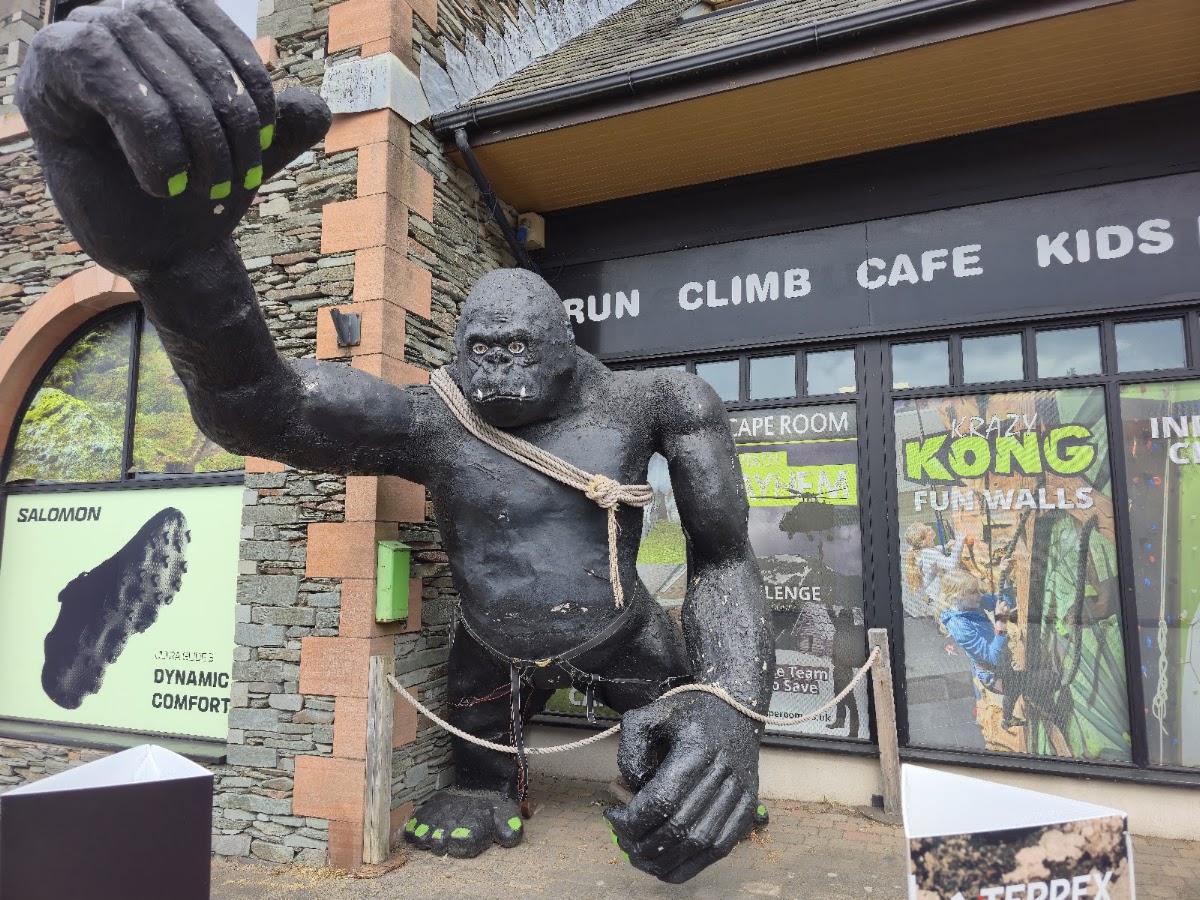 Kong Adventure
