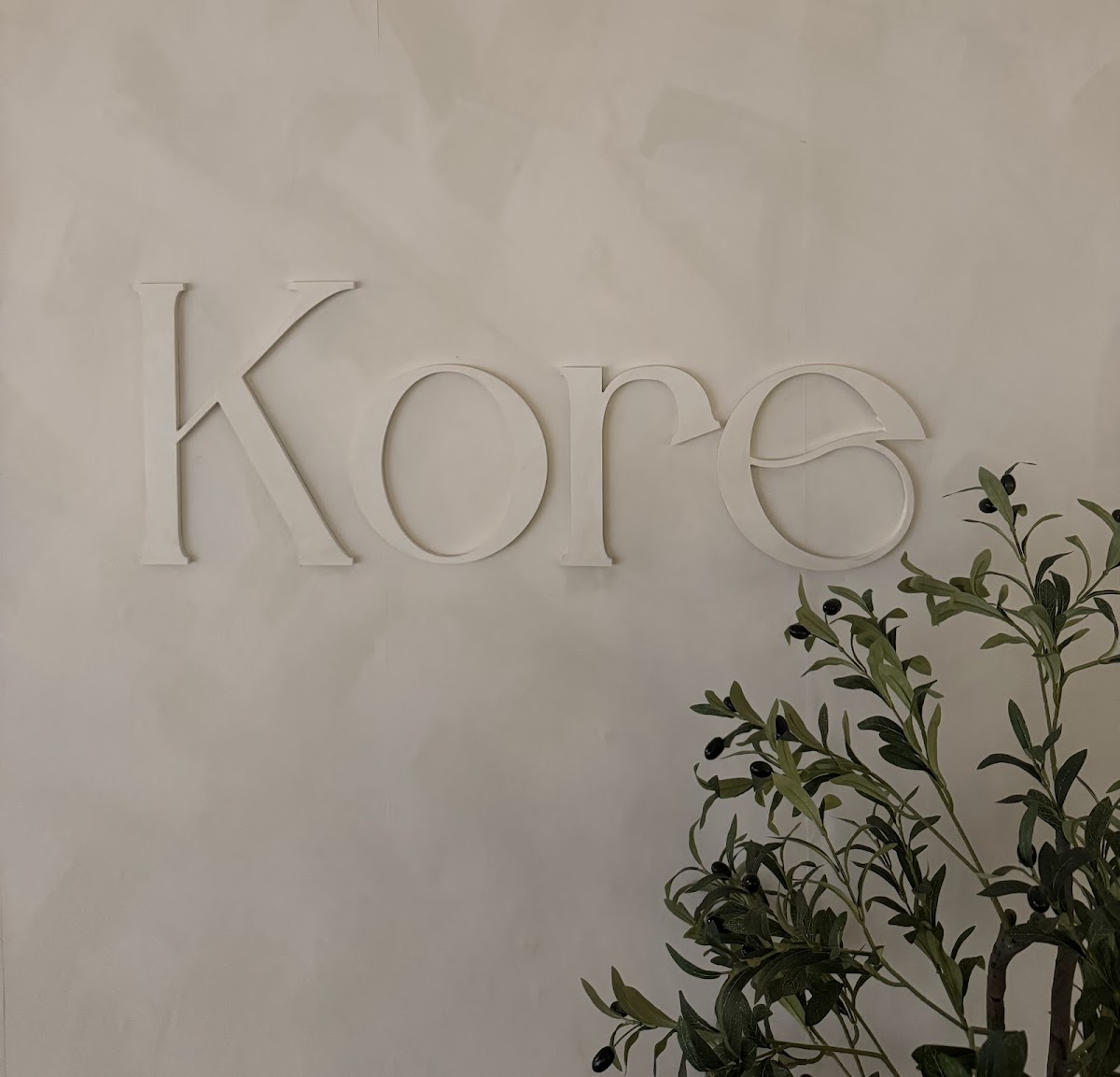Kore reformer pilates - Photo 3