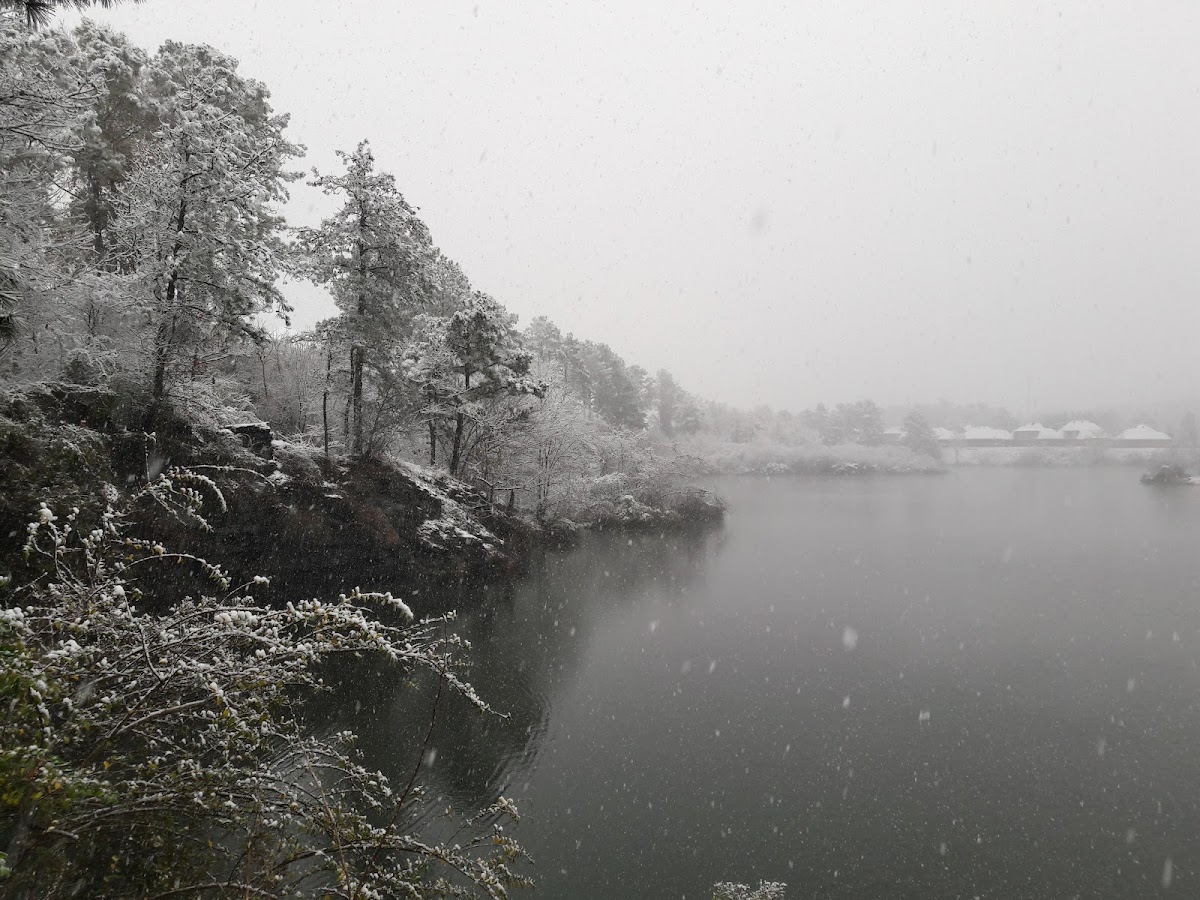 Lake Cyrus Tennis club - Photo 2