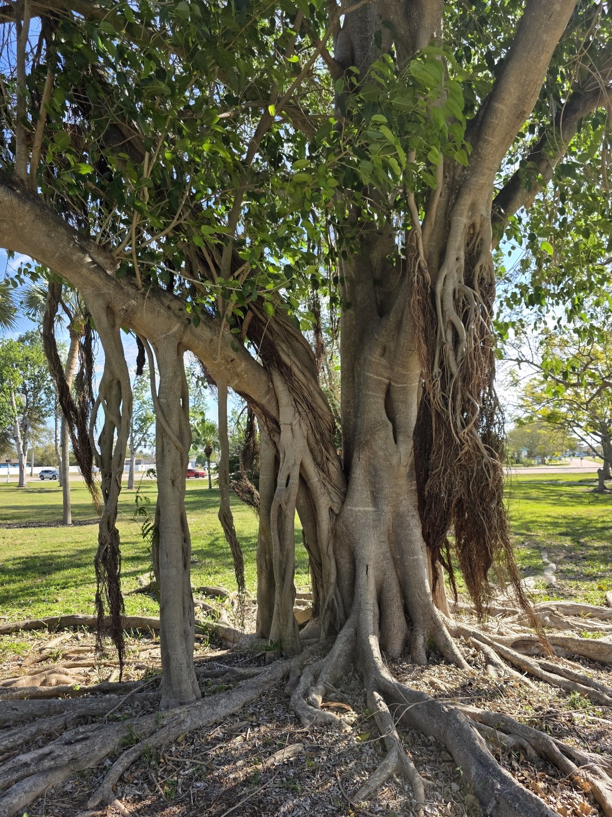 Lake Kennedy Community Park - Photo 3