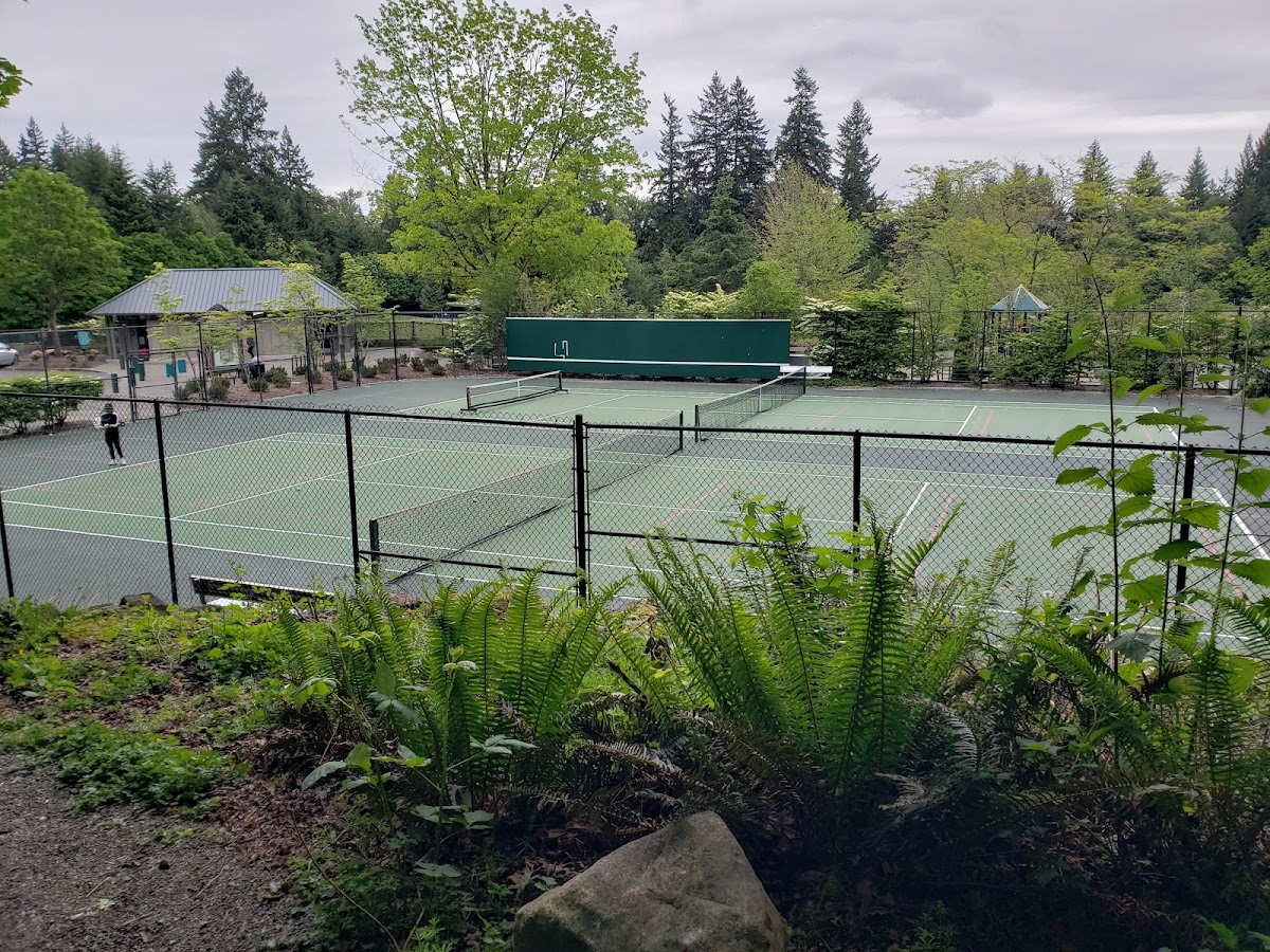 Lakemont Community Park Pickleball And Tennis Courts - Photo 3