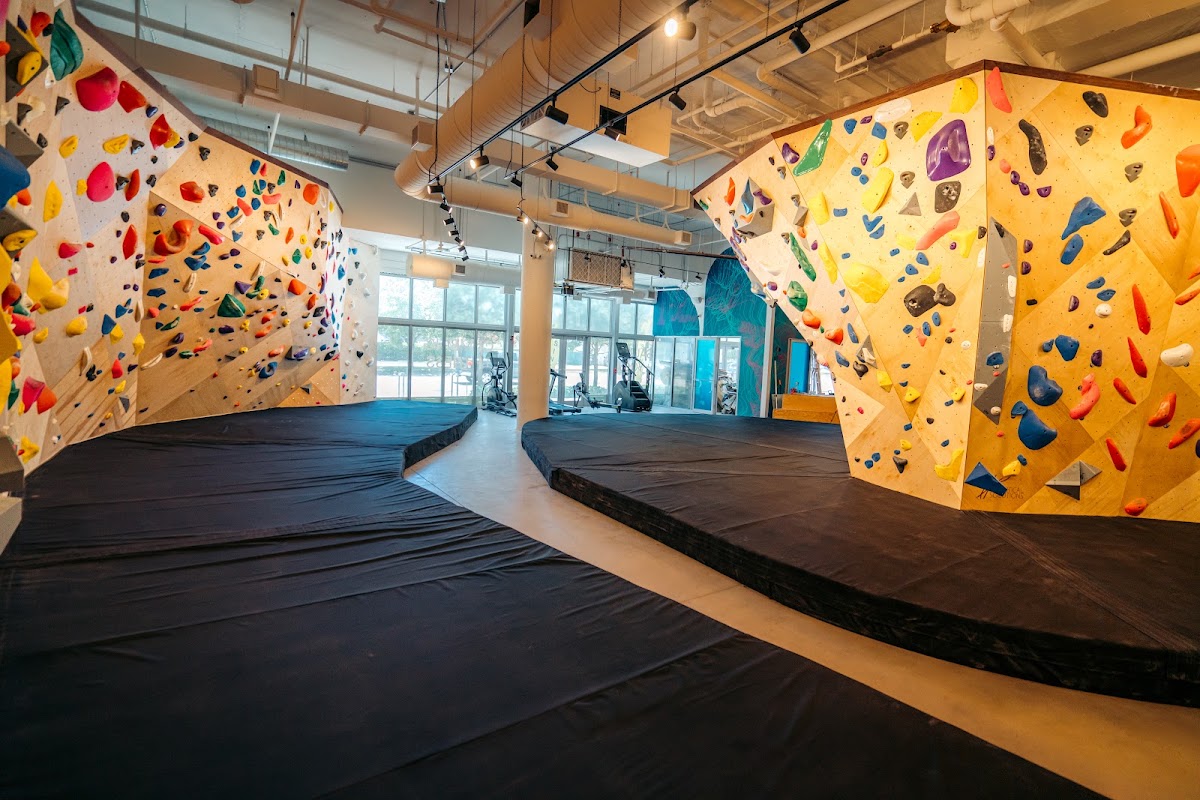 Las Rocas Climbing and Fitness - Photo 2