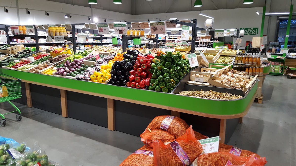 Le Cours des Halles - Montauban - Photo 3