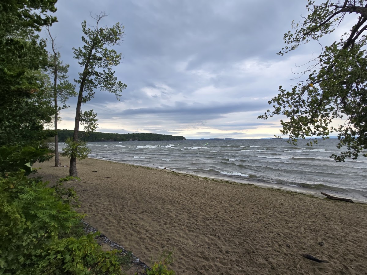 Leddy Park - Photo 1