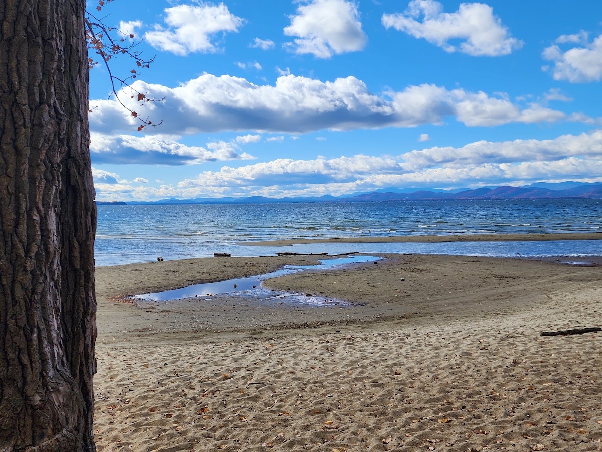 Leddy Park - Photo 2
